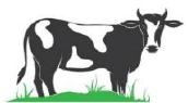 Mumtaz Dairy Farm
